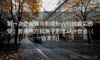 第一次使用蜂鸟影院fnyy时的真实感受：普通用户视角下的优缺点盘点（效率向）