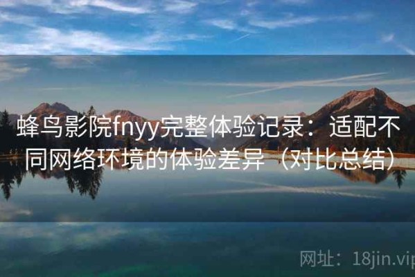 蜂鸟影院fnyy完整体验记录：适配不同网络环境的体验差异（对比总结）