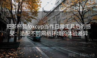 把茶杯狐foxcup当作日常工具后的感受：适配不同网络环境的体验差异