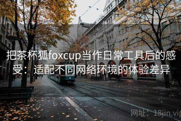 把茶杯狐foxcup当作日常工具后的感受：适配不同网络环境的体验差异