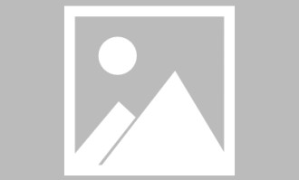 围绕蜂鸟影院在线免费观看的实际使用感想：适配不同网络环境的体验差异（最新版）