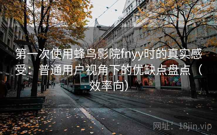 第一次使用蜂鸟影院fnyy时的真实感受：普通用户视角下的优缺点盘点（效率向）