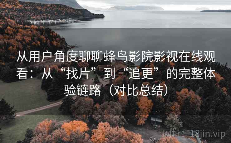 从用户角度聊聊蜂鸟影院影视在线观看：从“找片”到“追更”的完整体验链路（对比总结）