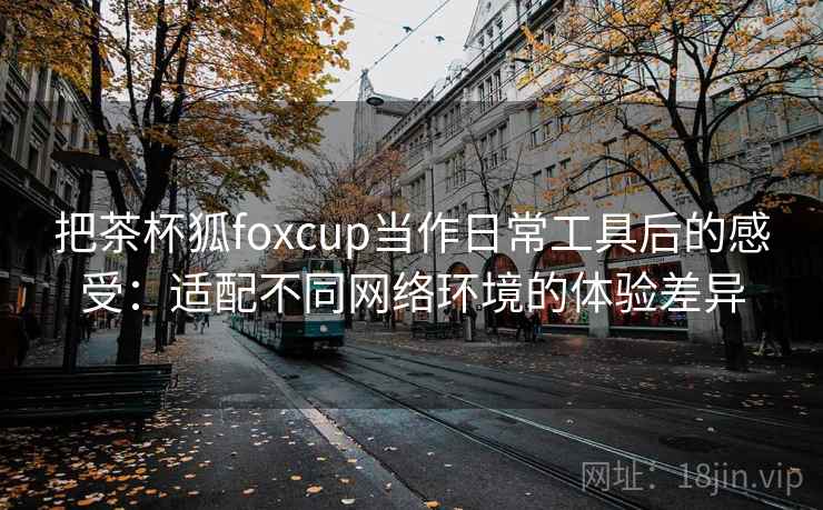 把茶杯狐foxcup当作日常工具后的感受：适配不同网络环境的体验差异