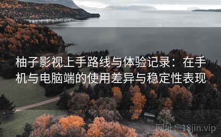 柚子影视上手路线与体验记录：在手机与电脑端的使用差异与稳定性表现